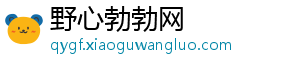 野心勃勃网